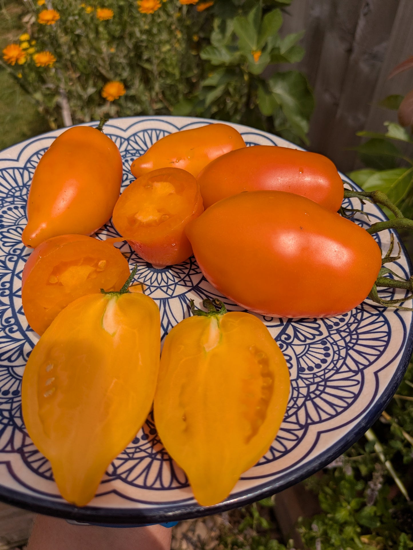 Mango Django