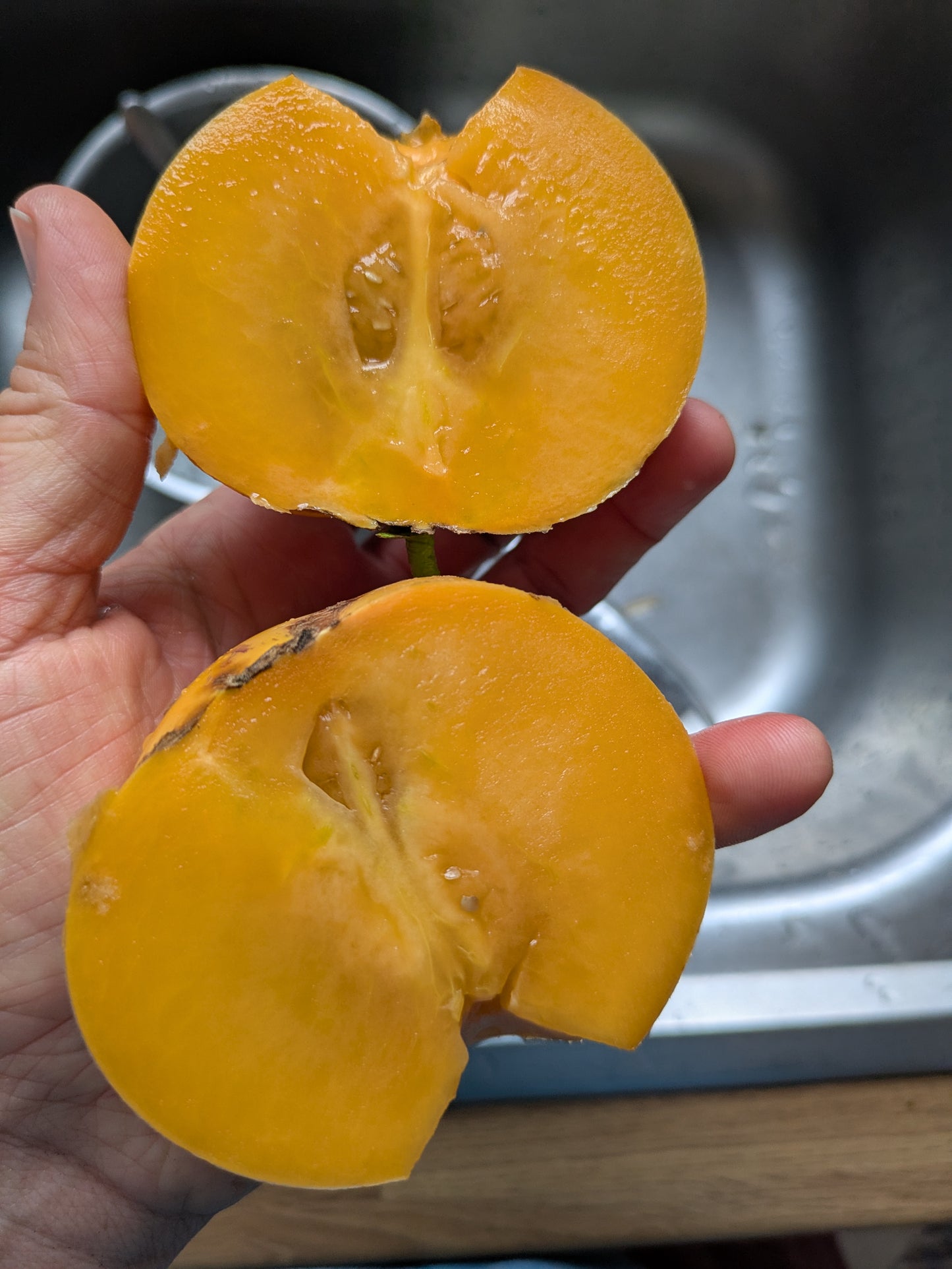 Pepino Melon