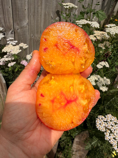 Minusinsk Orange Elephant