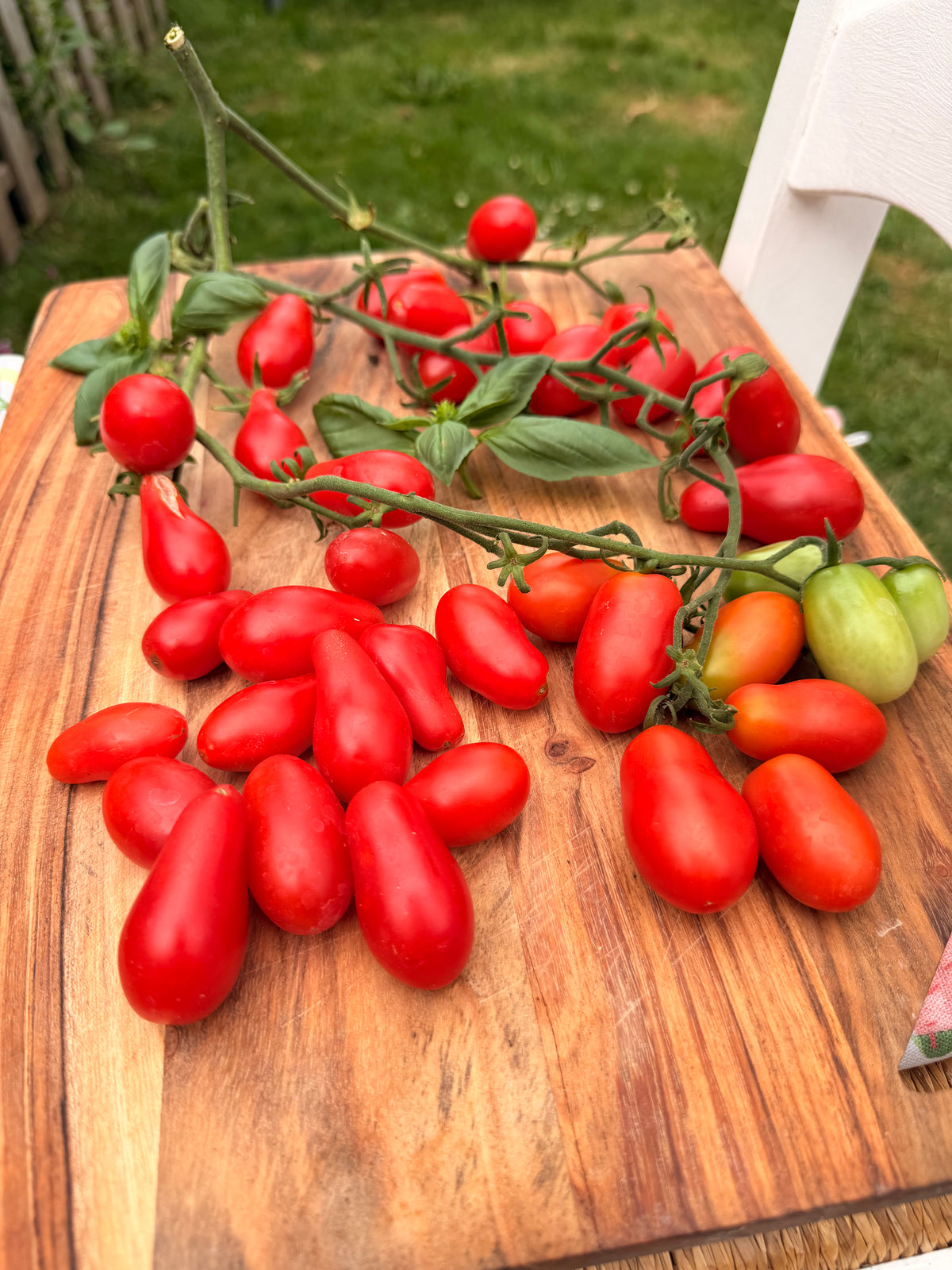 Sweet red pear