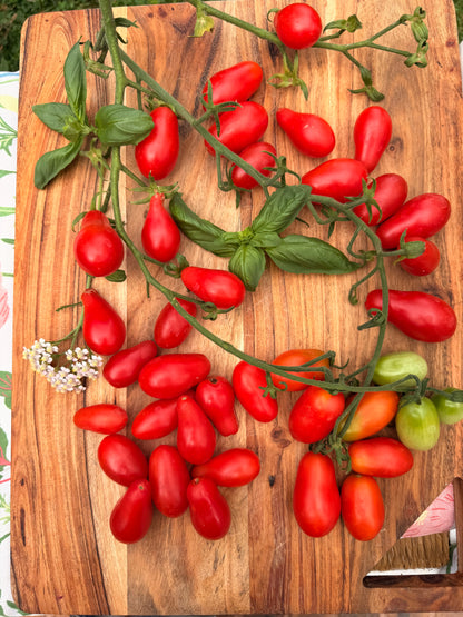 Sweet red pear