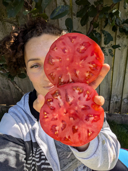 Bulgarian Wonder