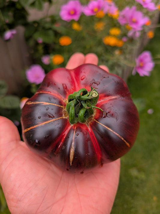 Marmande Blue