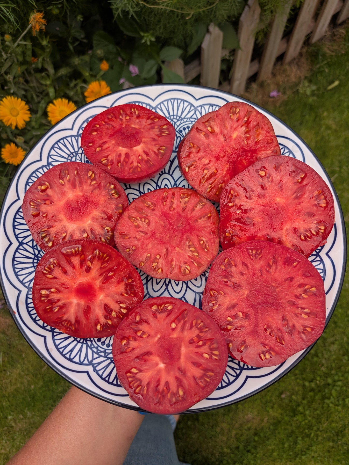Marmande Blue