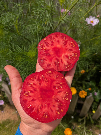 Marmande Blue