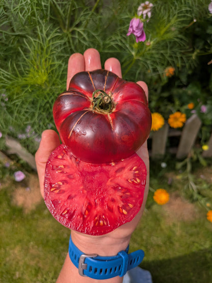 Marmande Blue