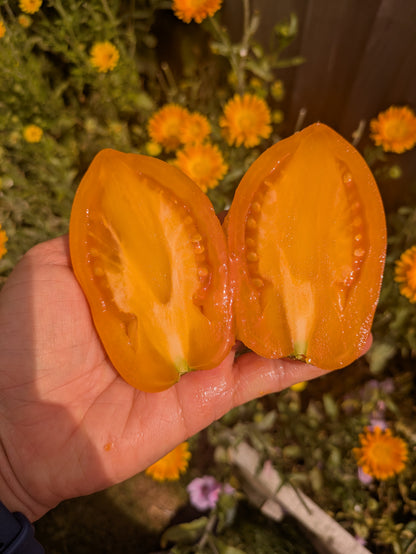 Mango Django